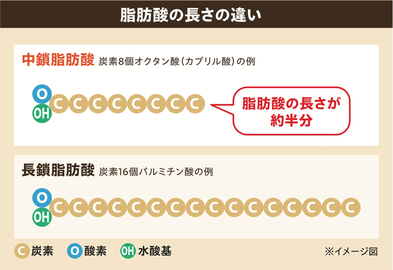 脂肪酸の長さの違い