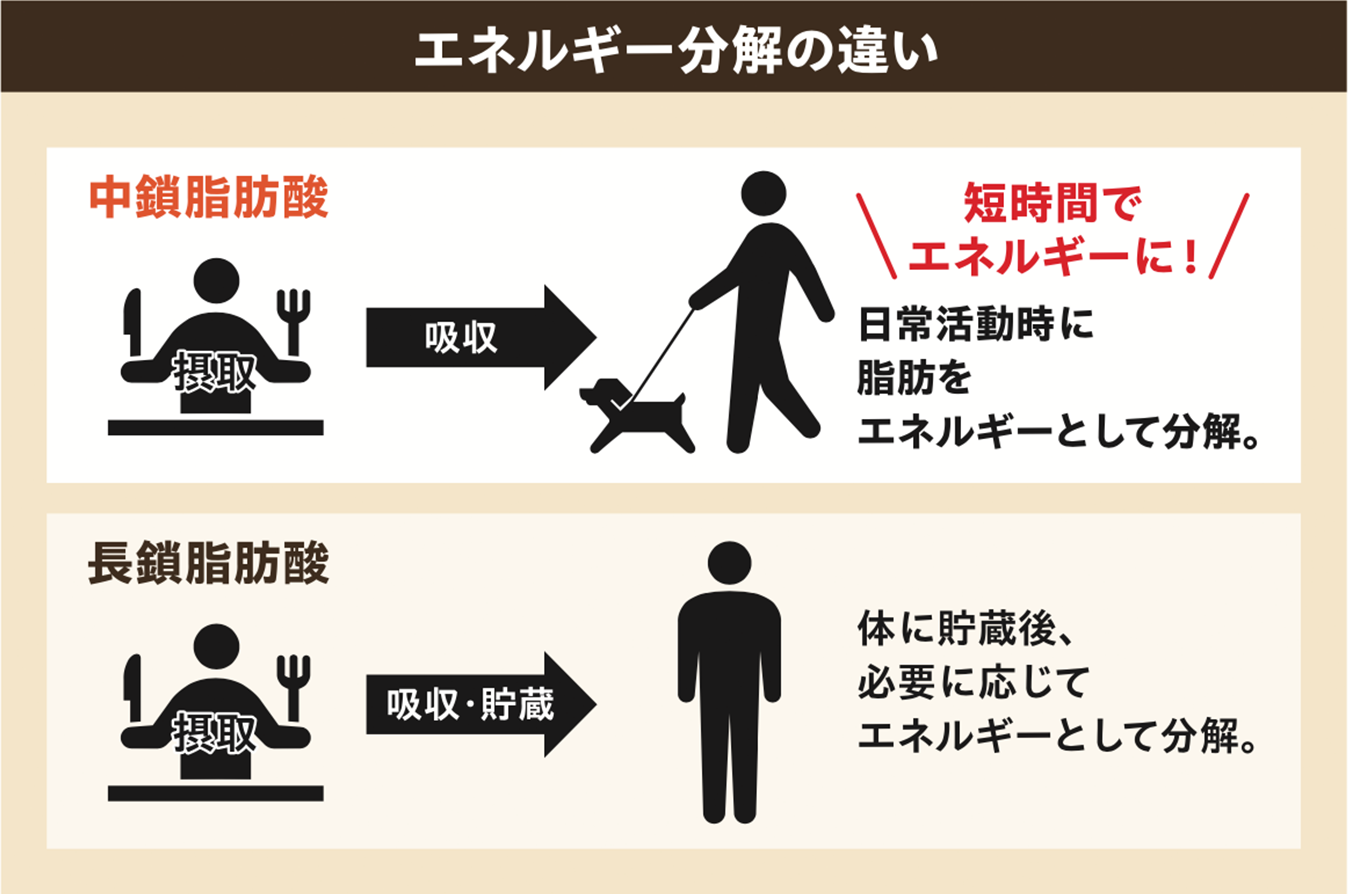 エネルギー分解の違い